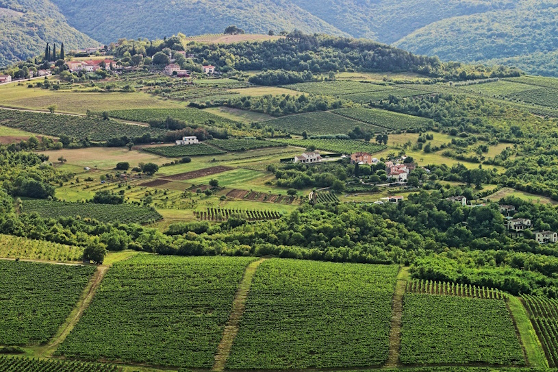 Landschaft in Istrien